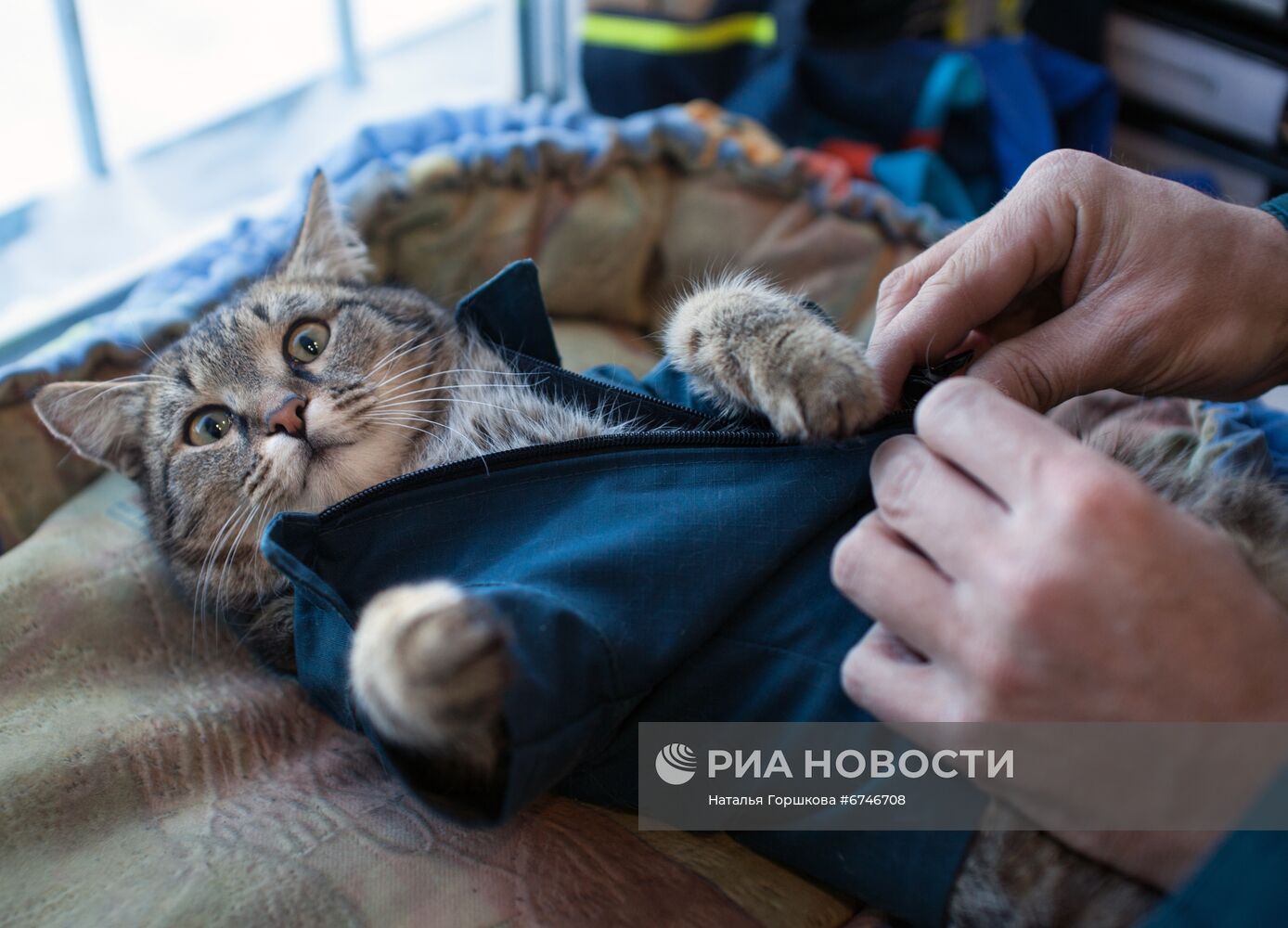 Кот Семен в пожарной части в Тюменской области