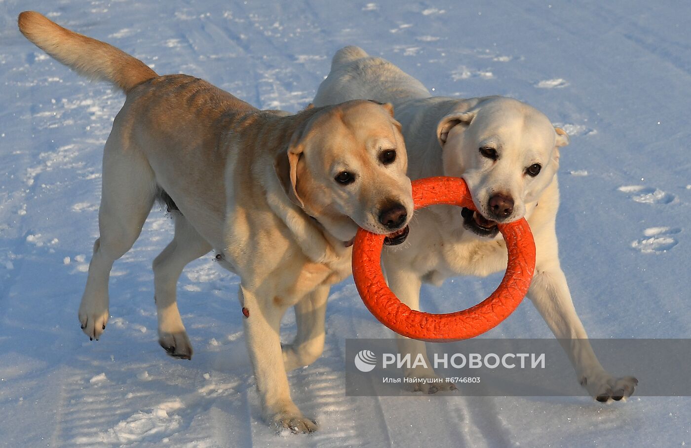 Отдых на Енисее в морозную погоду