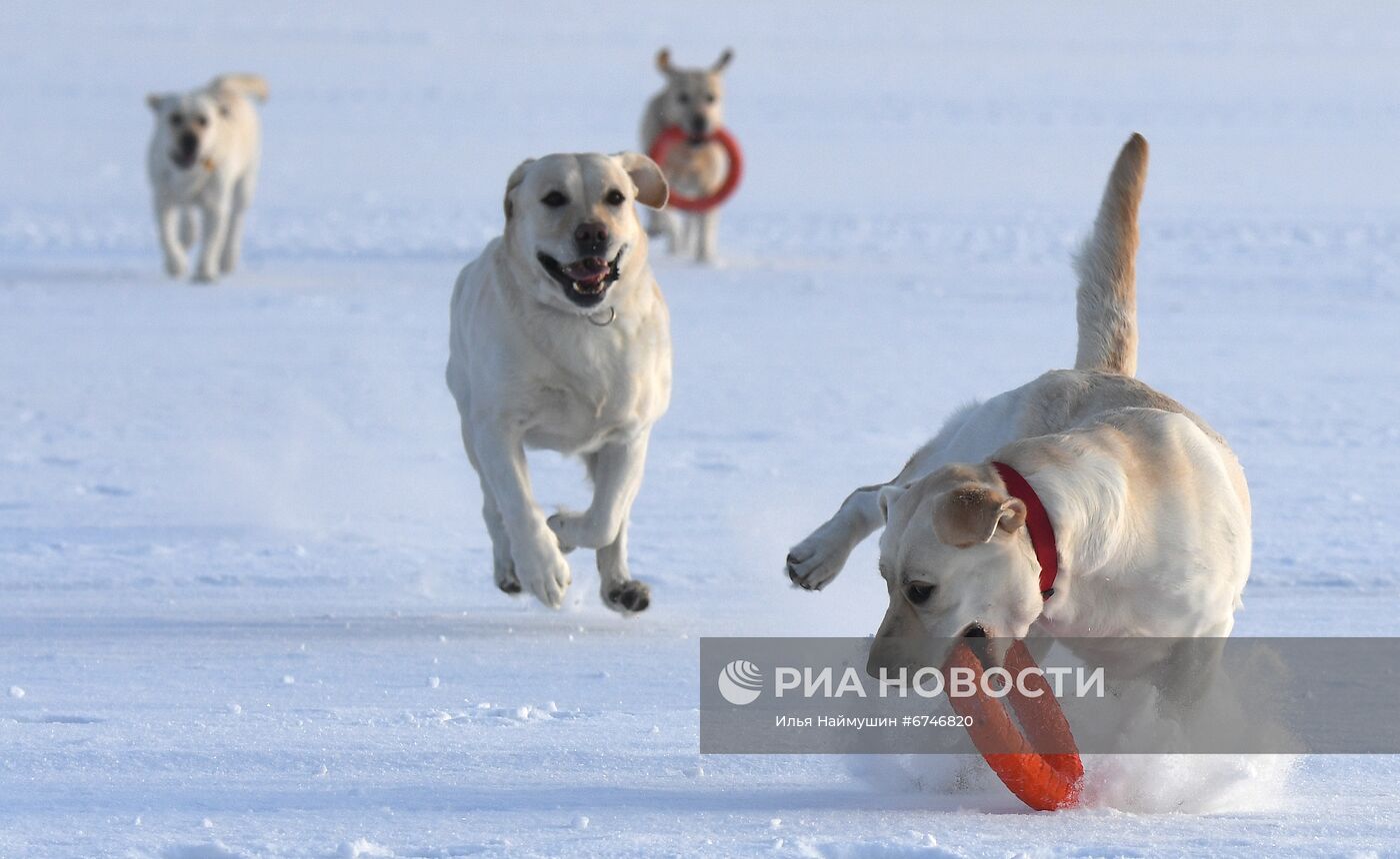 Отдых на Енисее в морозную погоду