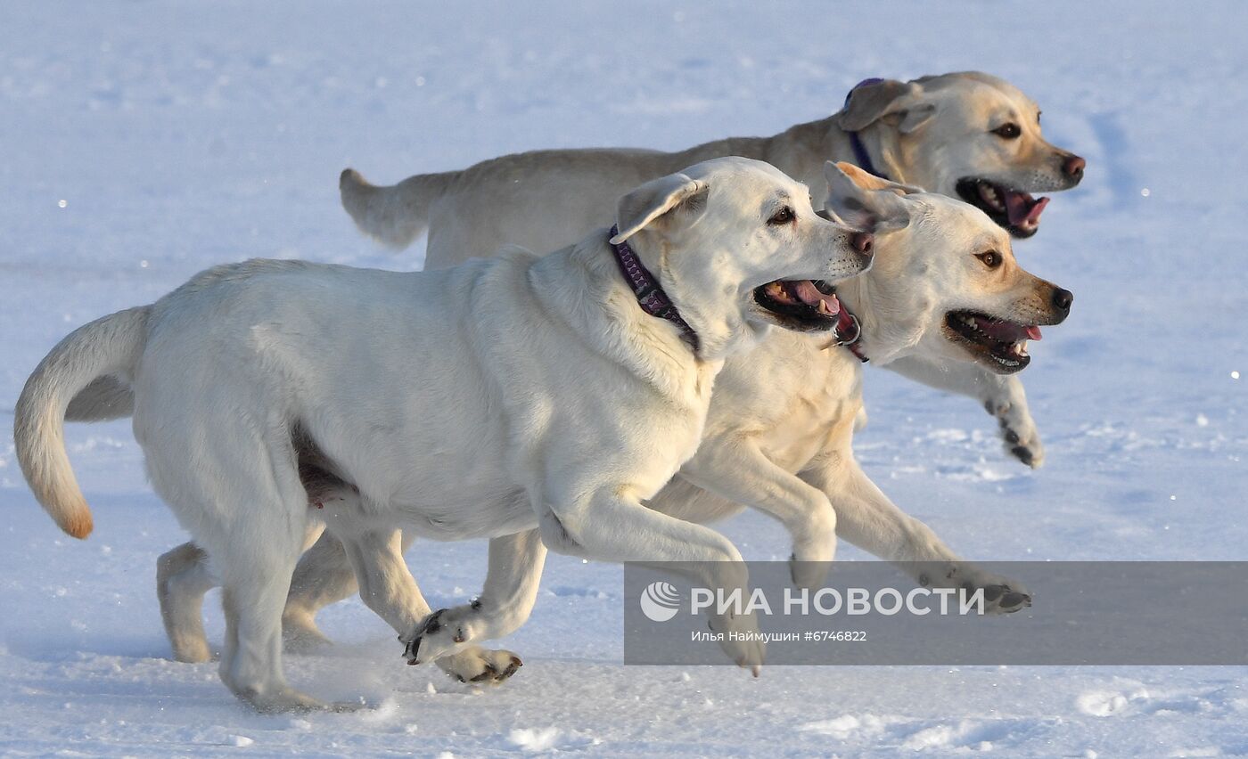 Отдых на Енисее в морозную погоду