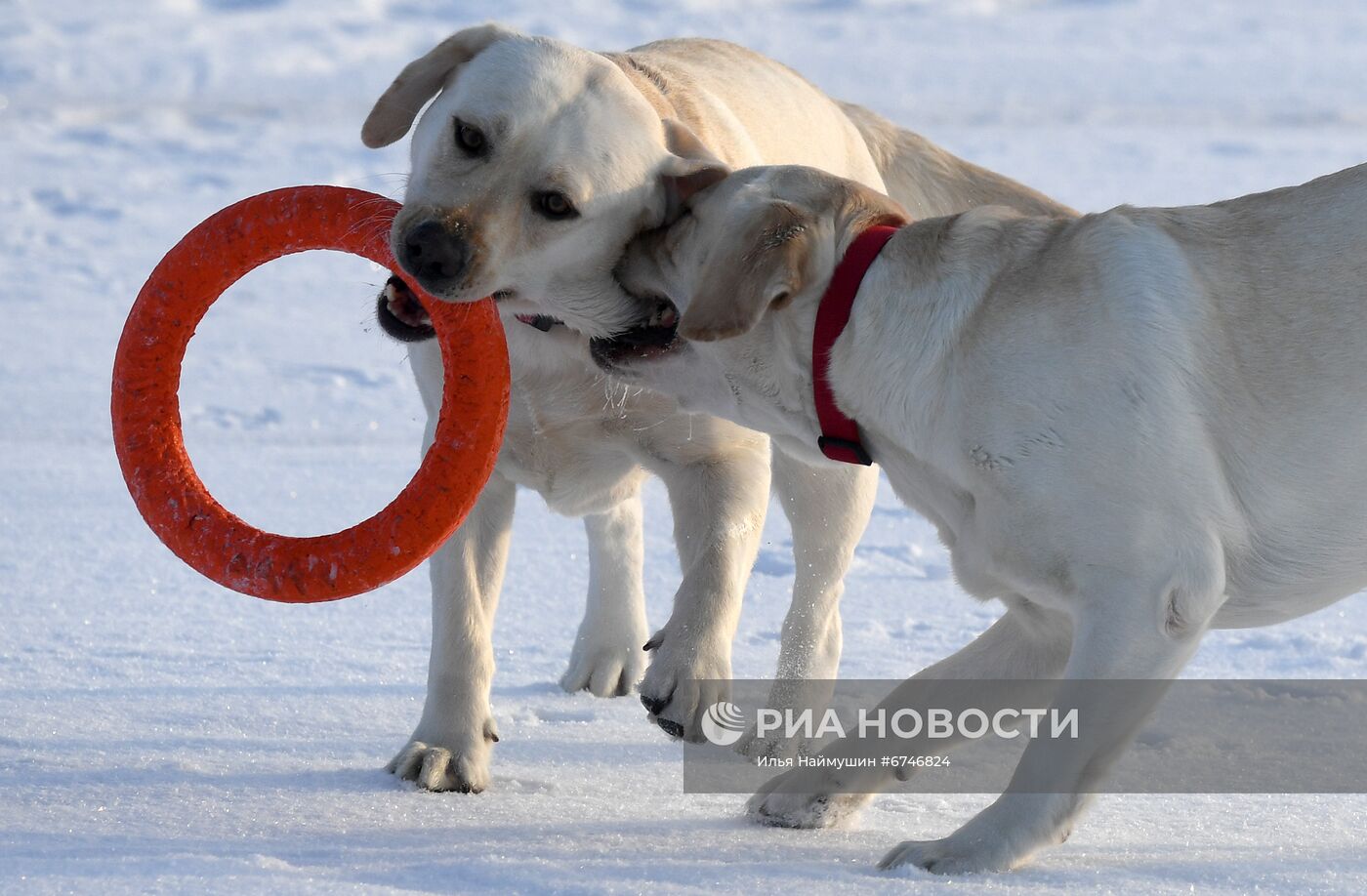 Отдых на Енисее в морозную погоду