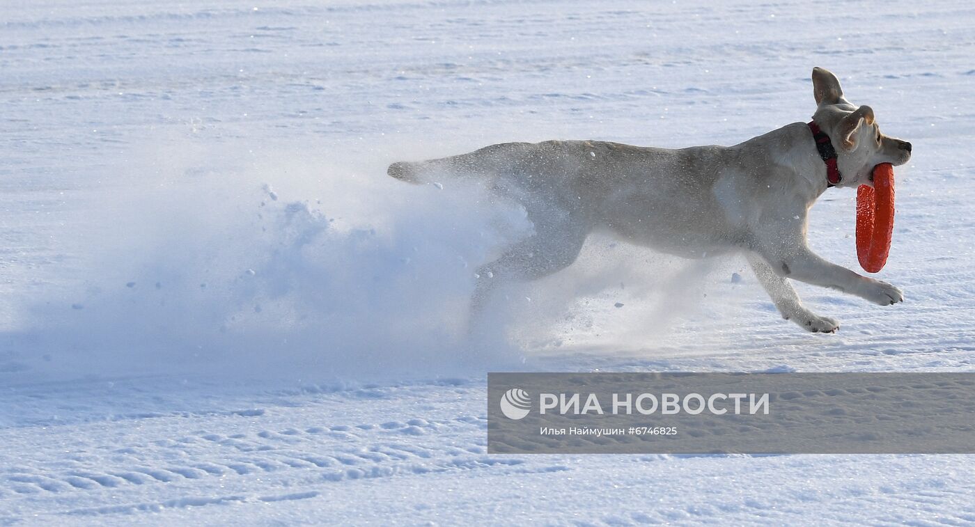 Отдых на Енисее в морозную погоду