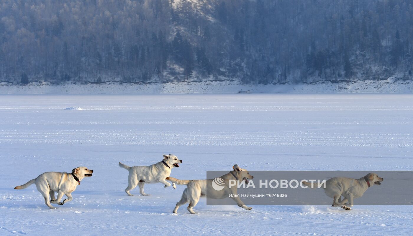 Отдых на Енисее в морозную погоду