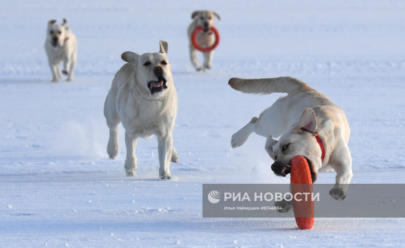 Отдых на Енисее в морозную погоду