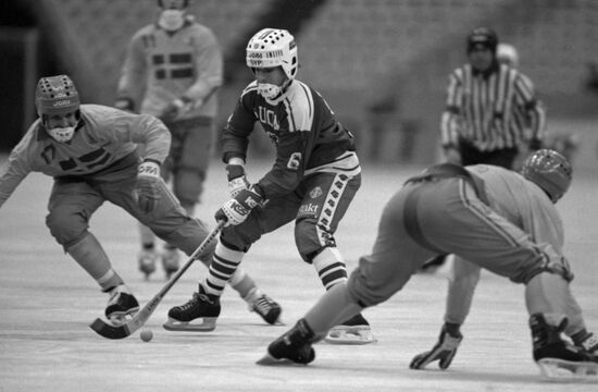 XVI чемпионат мира по хоккею с мячом