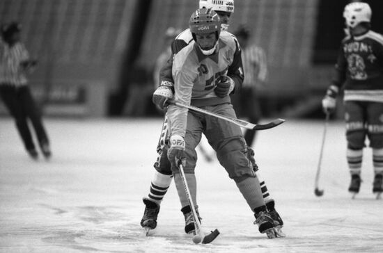 XVI чемпионат мира по хоккею с мячом