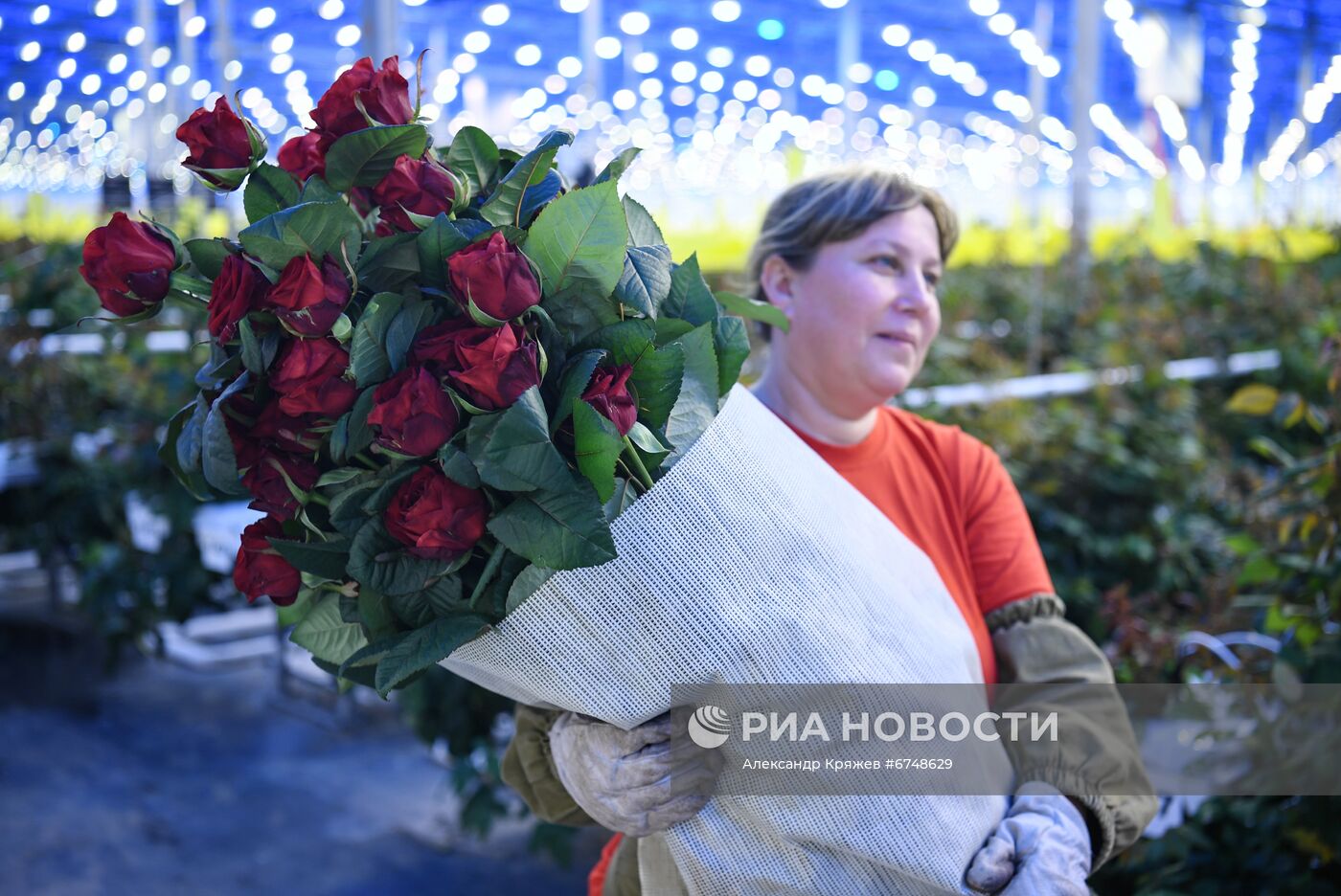 Церемония открытия второй очереди проекта Сибирская роза в Новосибирске