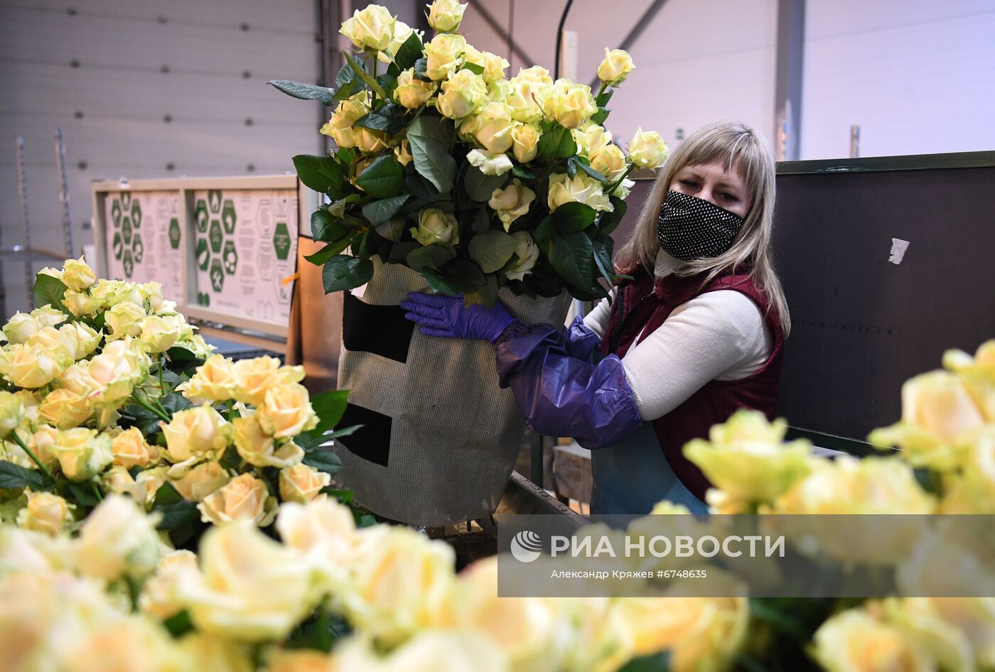 Церемония открытия второй очереди проекта "Сибирская роза" в Новосибирске