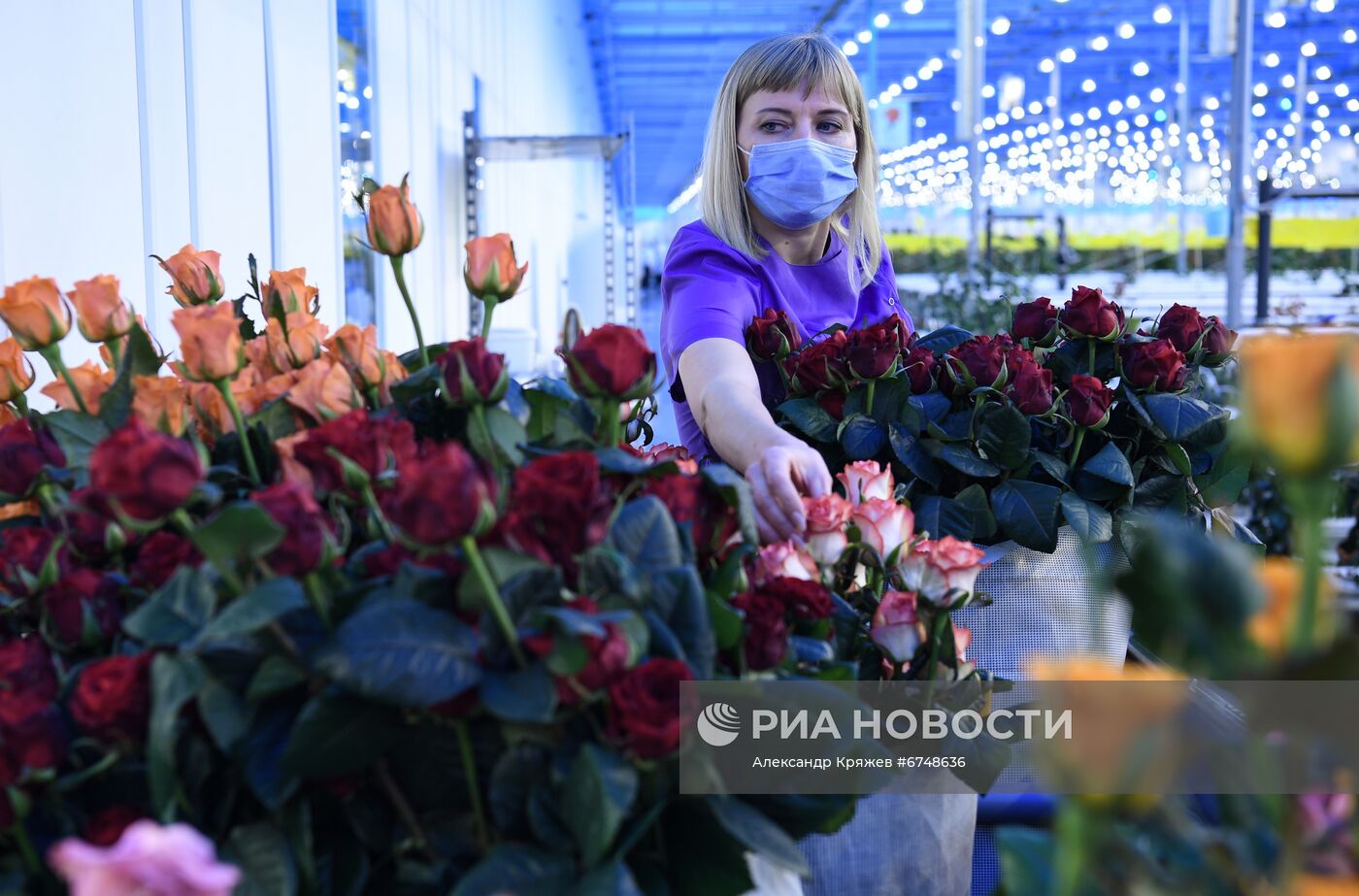 Церемония открытия второй очереди проекта "Сибирская роза" в Новосибирске