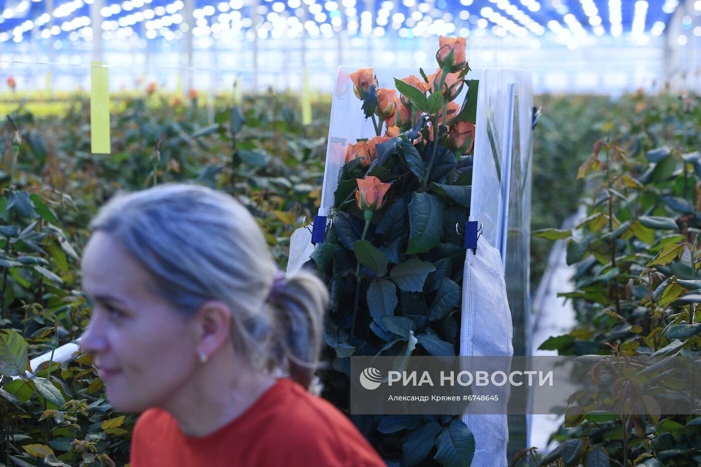 Церемония открытия второй очереди проекта "Сибирская роза" в Новосибирске