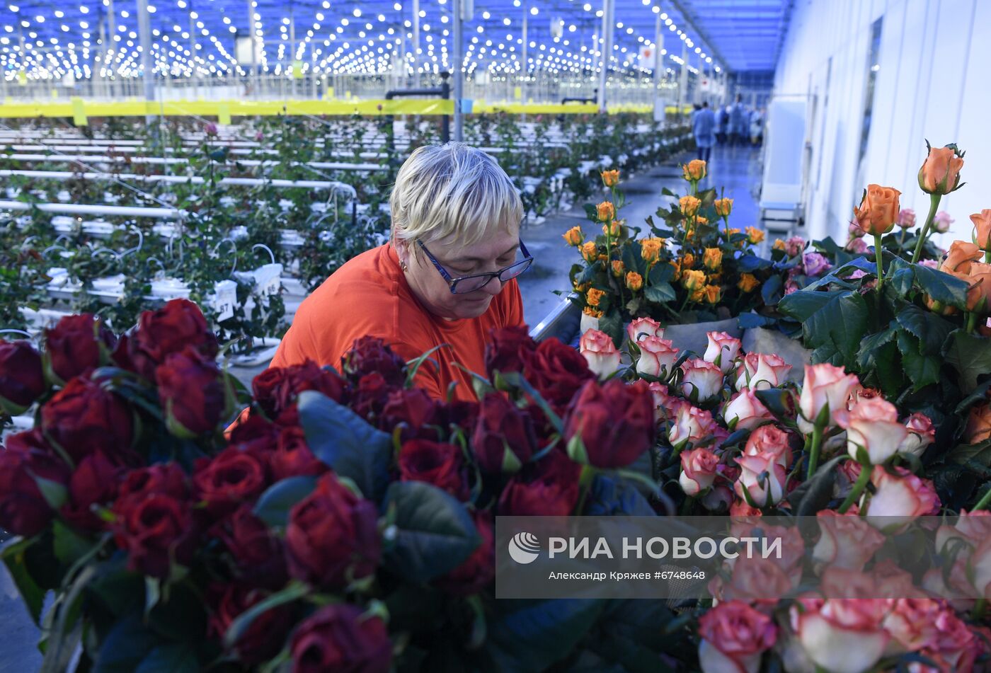 Церемония открытия второй очереди проекта "Сибирская роза" в Новосибирске