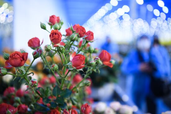 Церемония открытия второй очереди проекта "Сибирская роза" в Новосибирске