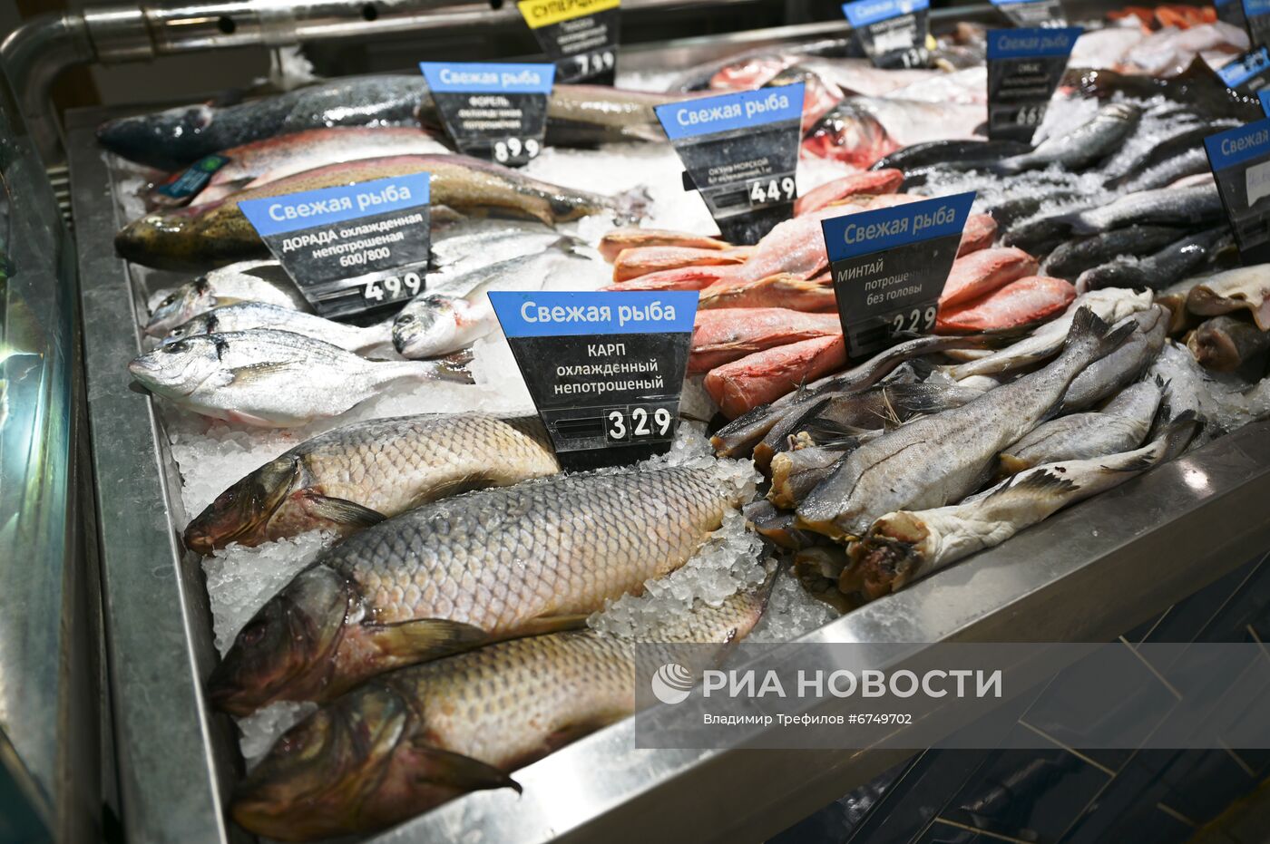 Повседневная жизнь