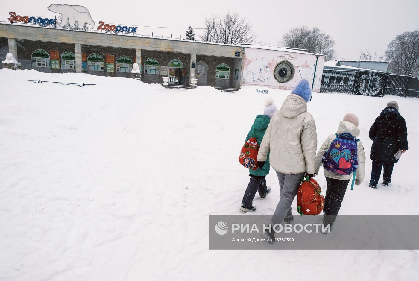 Опустевший из-за новых ковид-ограничений зоопарк Санкт-Петербурга