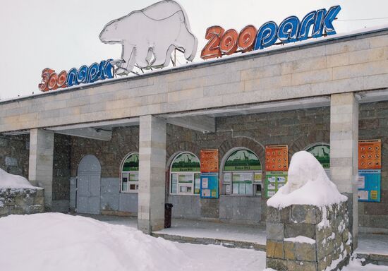 Опустевший из-за новых ковид-ограничений зоопарк Санкт-Петербурга
