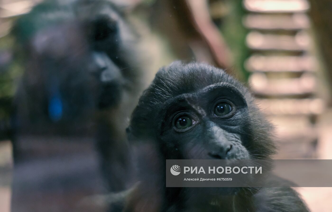 Ленинградский зоопарк