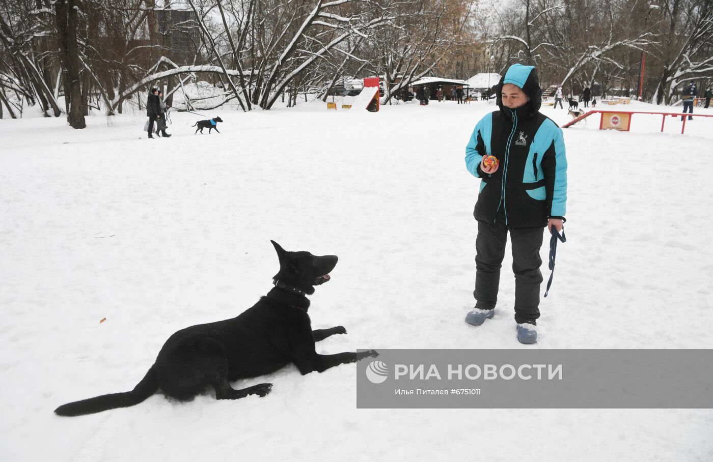 Кинологический центр в парке "Сокольники"