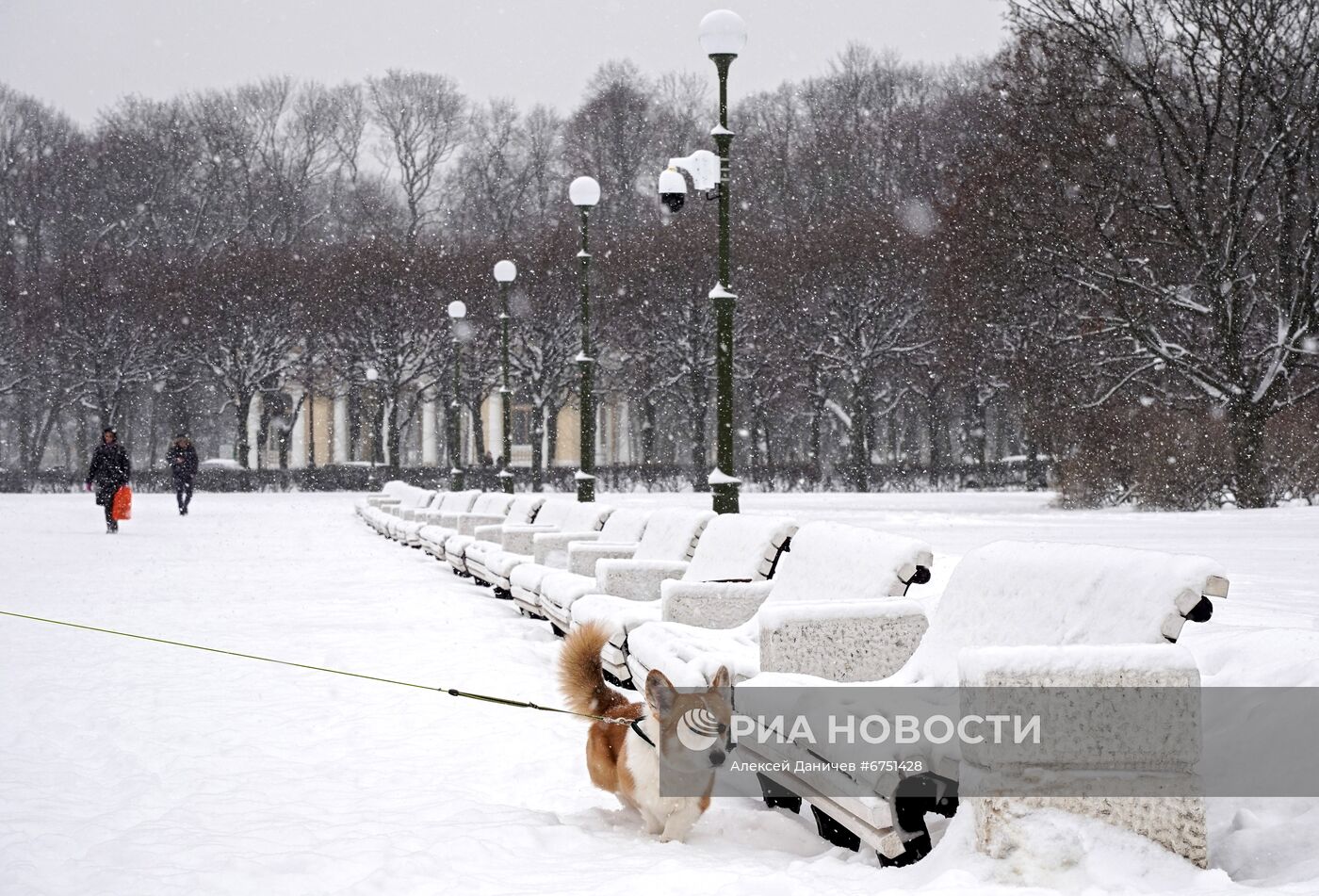 Снежный циклон "Надя" в Санкт-Петербурге