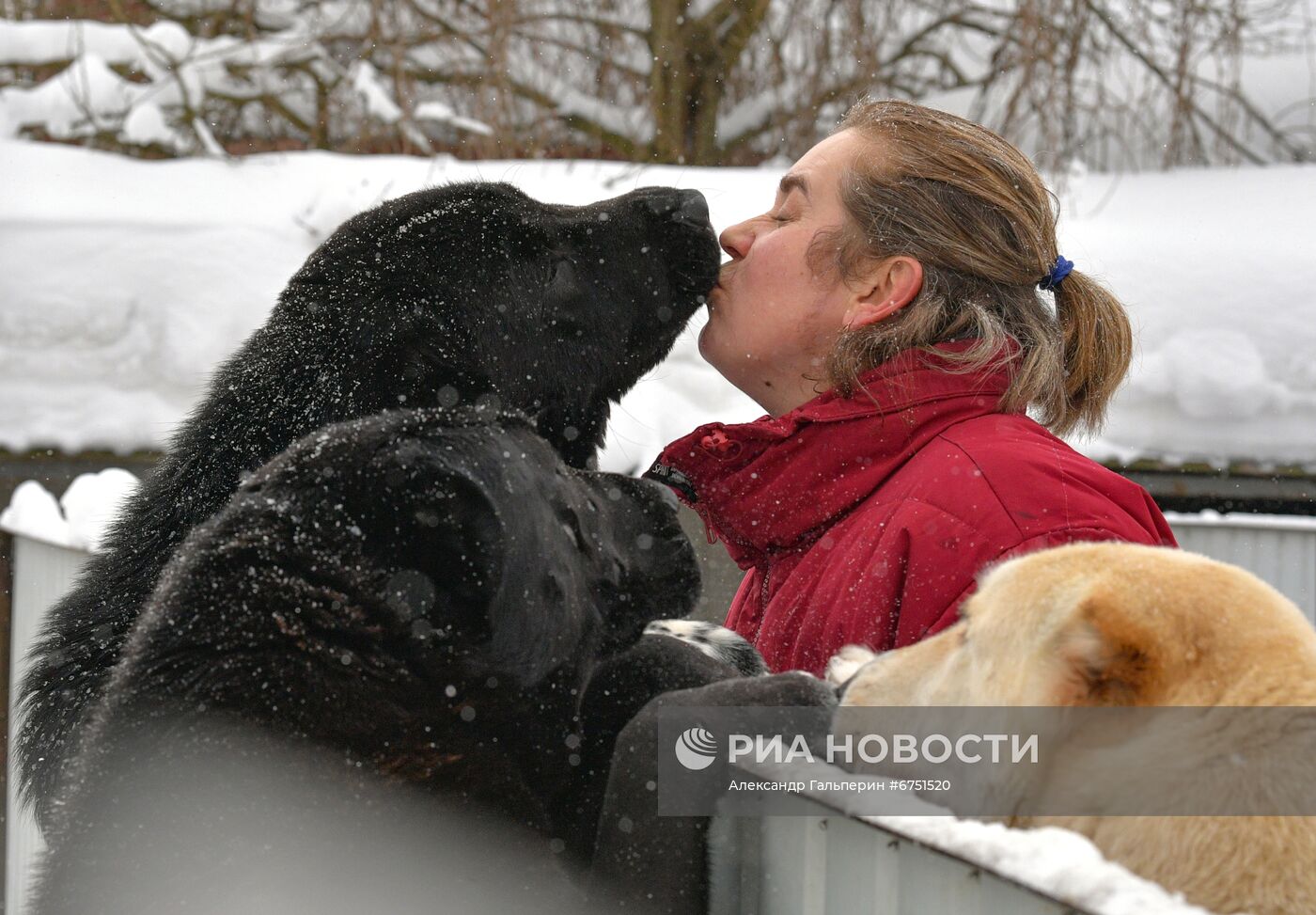 Питомник "С Медного озера" в Ленинградской области