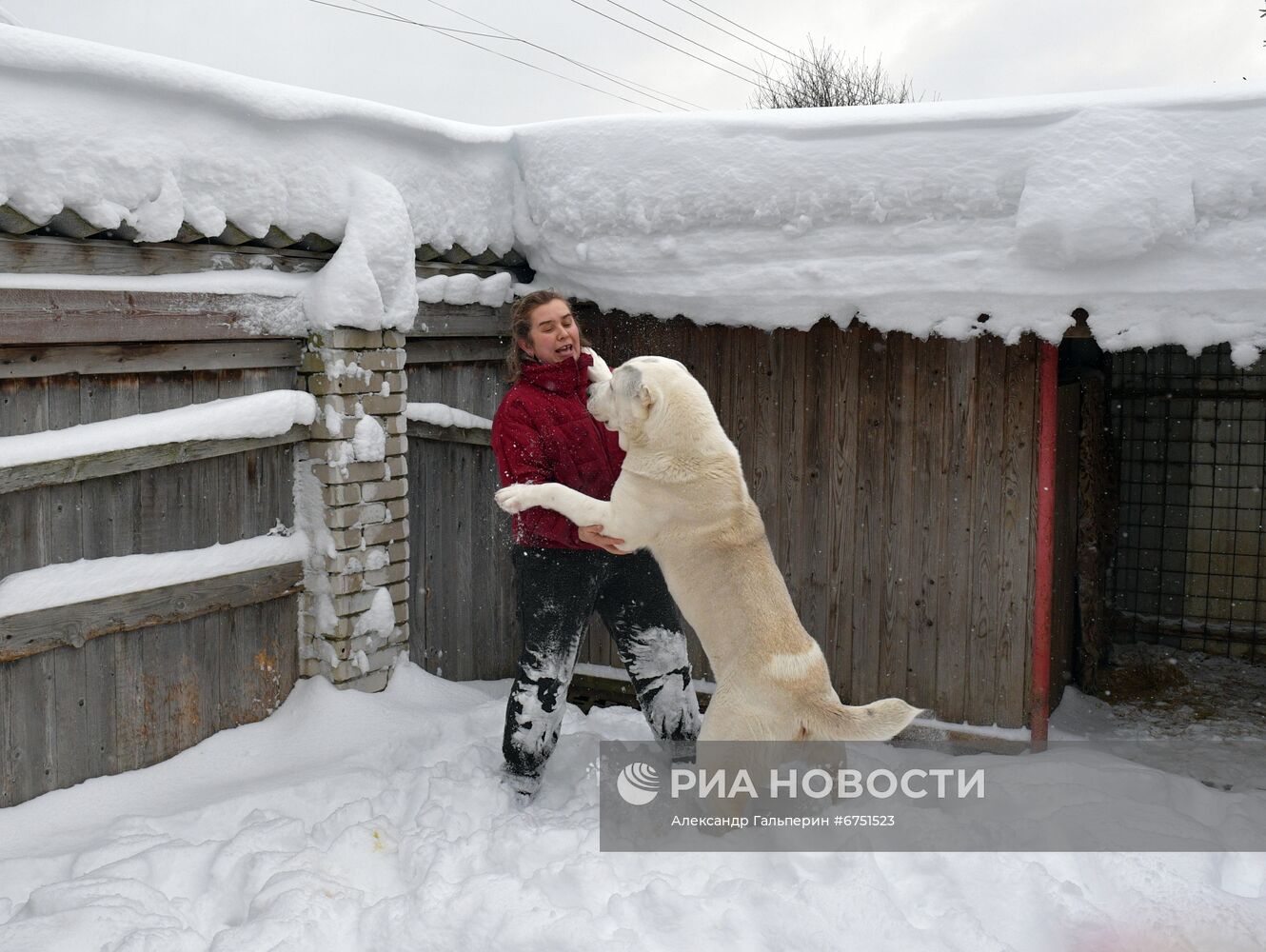 Питомник "С Медного озера" в Ленинградской области