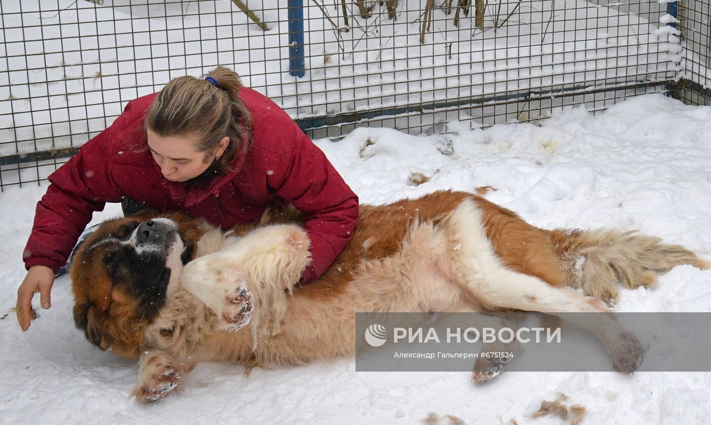 Питомник "С Медного озера" в Ленинградской области