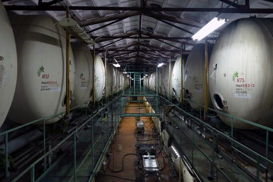 Одесский завод шампанских вин выставлен на торги