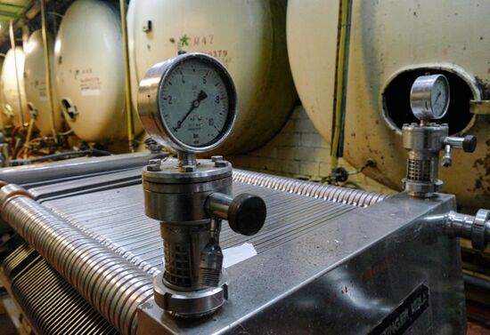 Одесский завод шампанских вин выставлен на торги