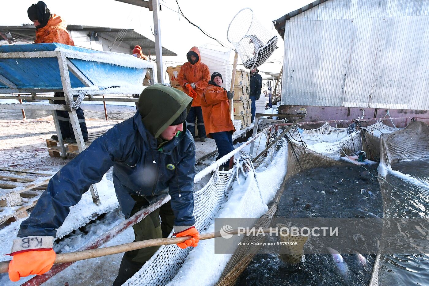 Рыбное хозяйство "Малтат" в Красноярском крае