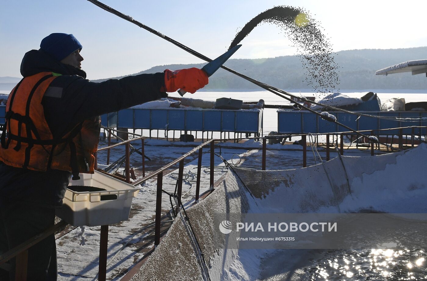 Рыбное хозяйство "Малтат" в Красноярском крае