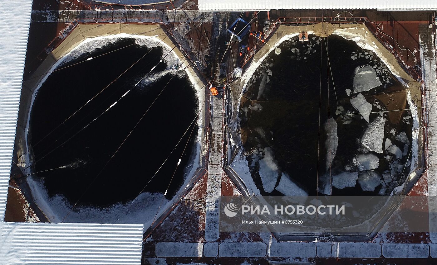 Рыбное хозяйство "Малтат" в Красноярском крае