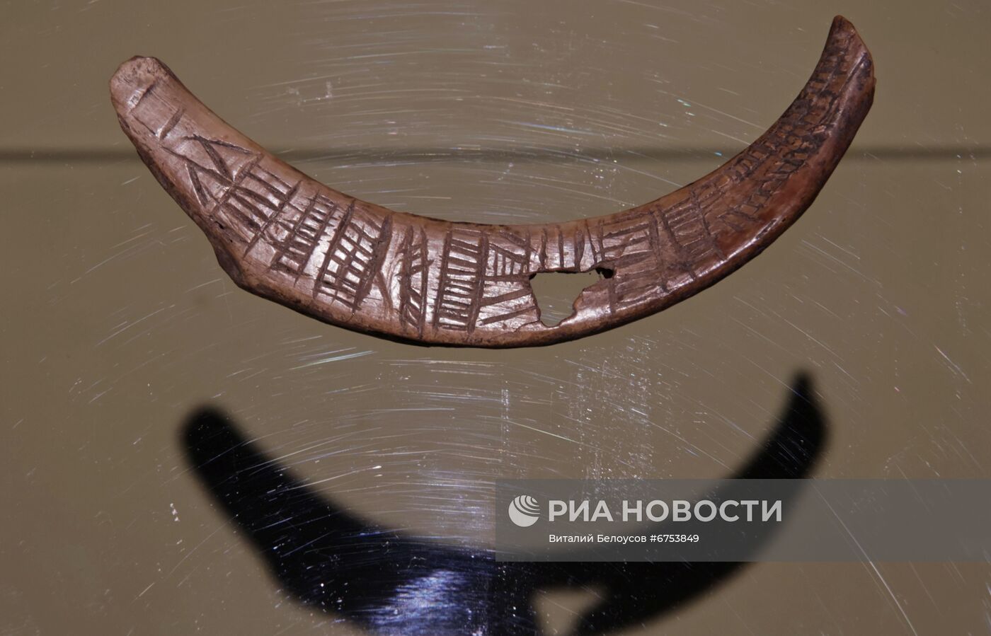 Выставка "Защитники Щербинского"