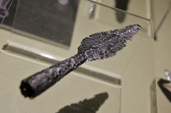 Выставка "Защитники Щербинского"