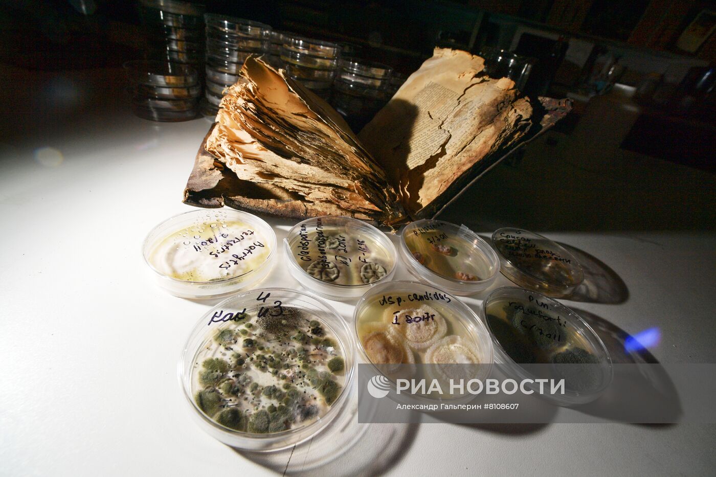 Работа Центра реставрации библиотечных фондов в Санкт-Петербурге