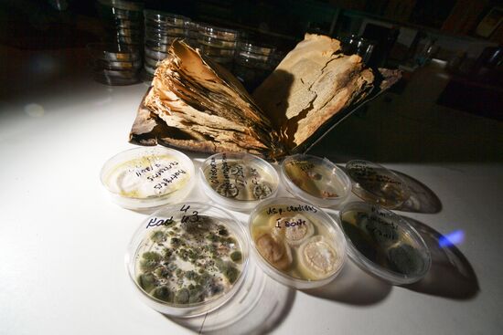 Работа Центра реставрации библиотечных фондов в Санкт-Петербурге