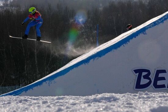 Олимпиада-2022. Сноуборд. Женщины. Сноуборд-кросс