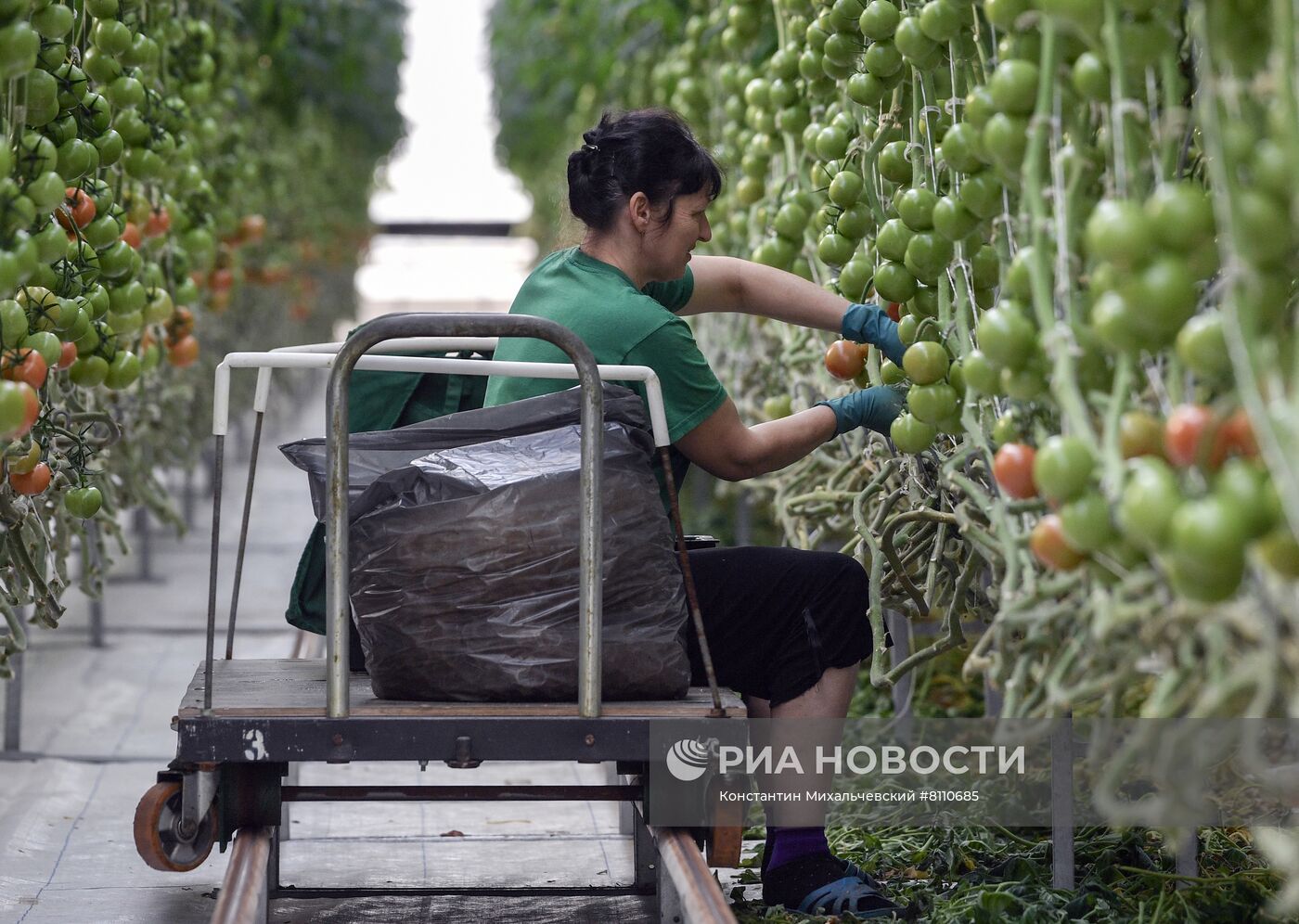 Тепличное хозяйство в Белогорском районе Крыма