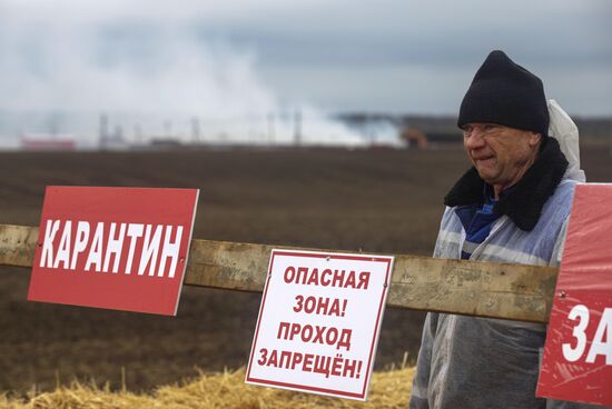 Борьба со вспышкой птичьего гриппа в Ставропольском крае