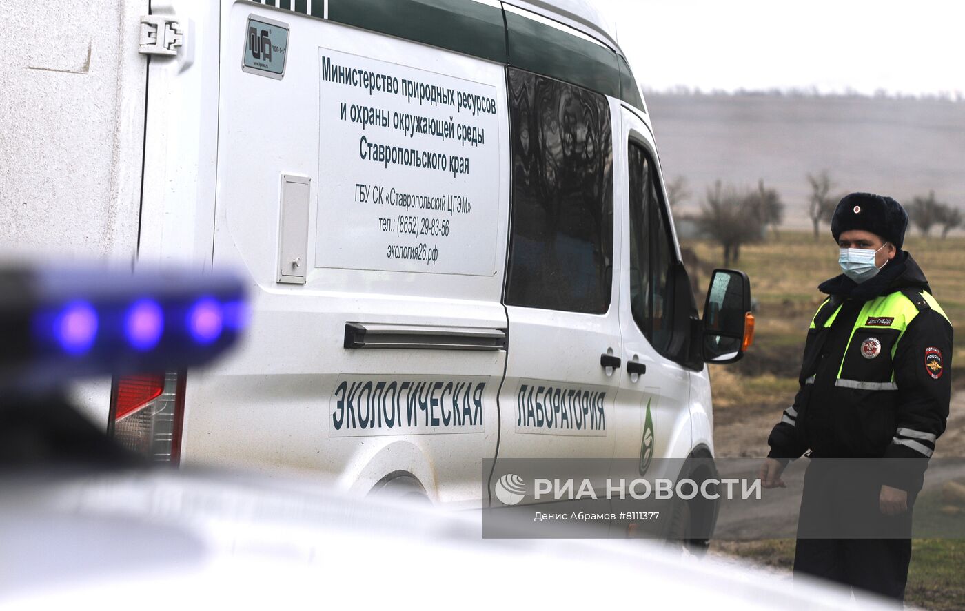 Борьба со вспышкой птичьего гриппа в Ставропольском крае