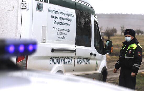 Борьба со вспышкой птичьего гриппа в Ставропольском крае