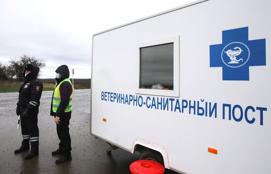 Борьба со вспышкой птичьего гриппа в Ставропольском крае