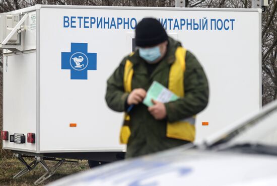 Борьба со вспышкой птичьего гриппа в Ставропольском крае