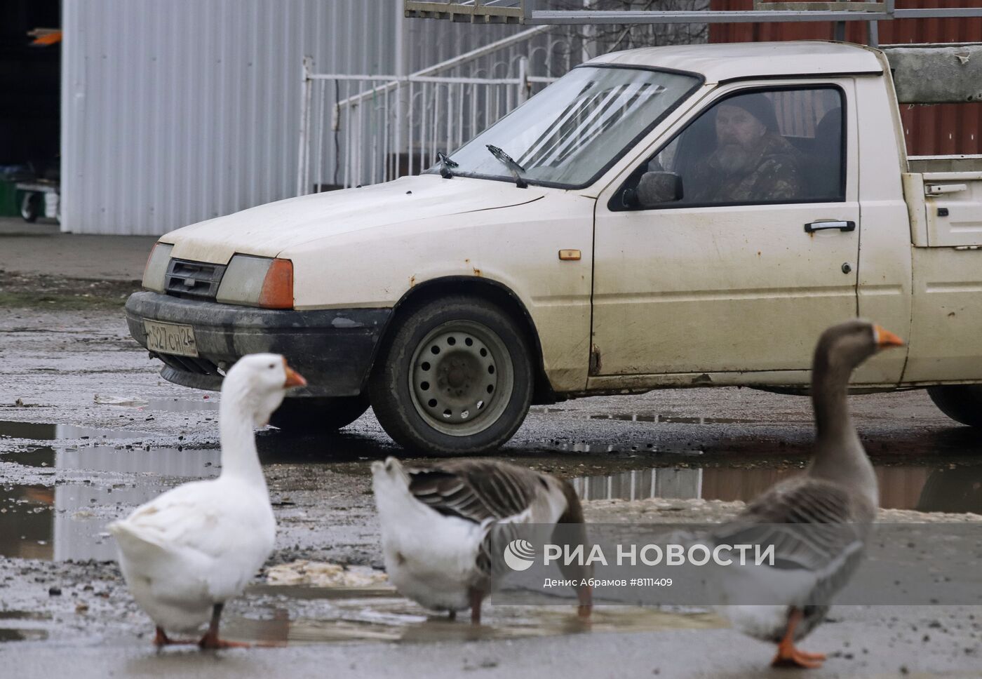 Борьба со вспышкой птичьего гриппа в Ставропольском крае