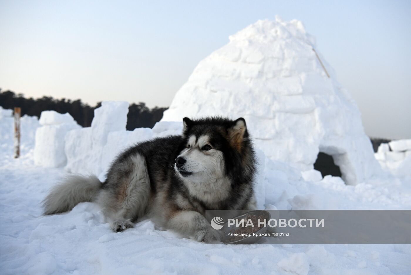 Фестиваль Иглу-2022 "Город эскимосов" в Новосибирске