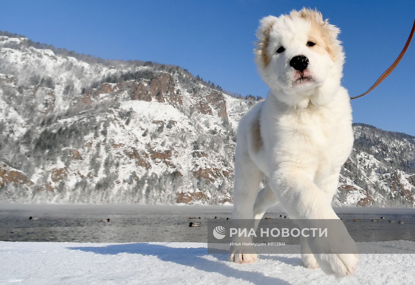 Повседневная жизнь