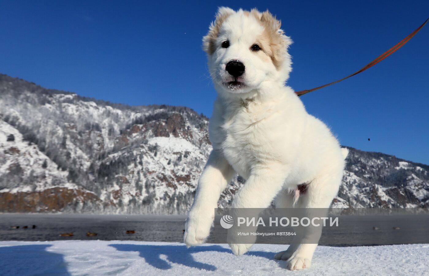 Повседневная жизнь