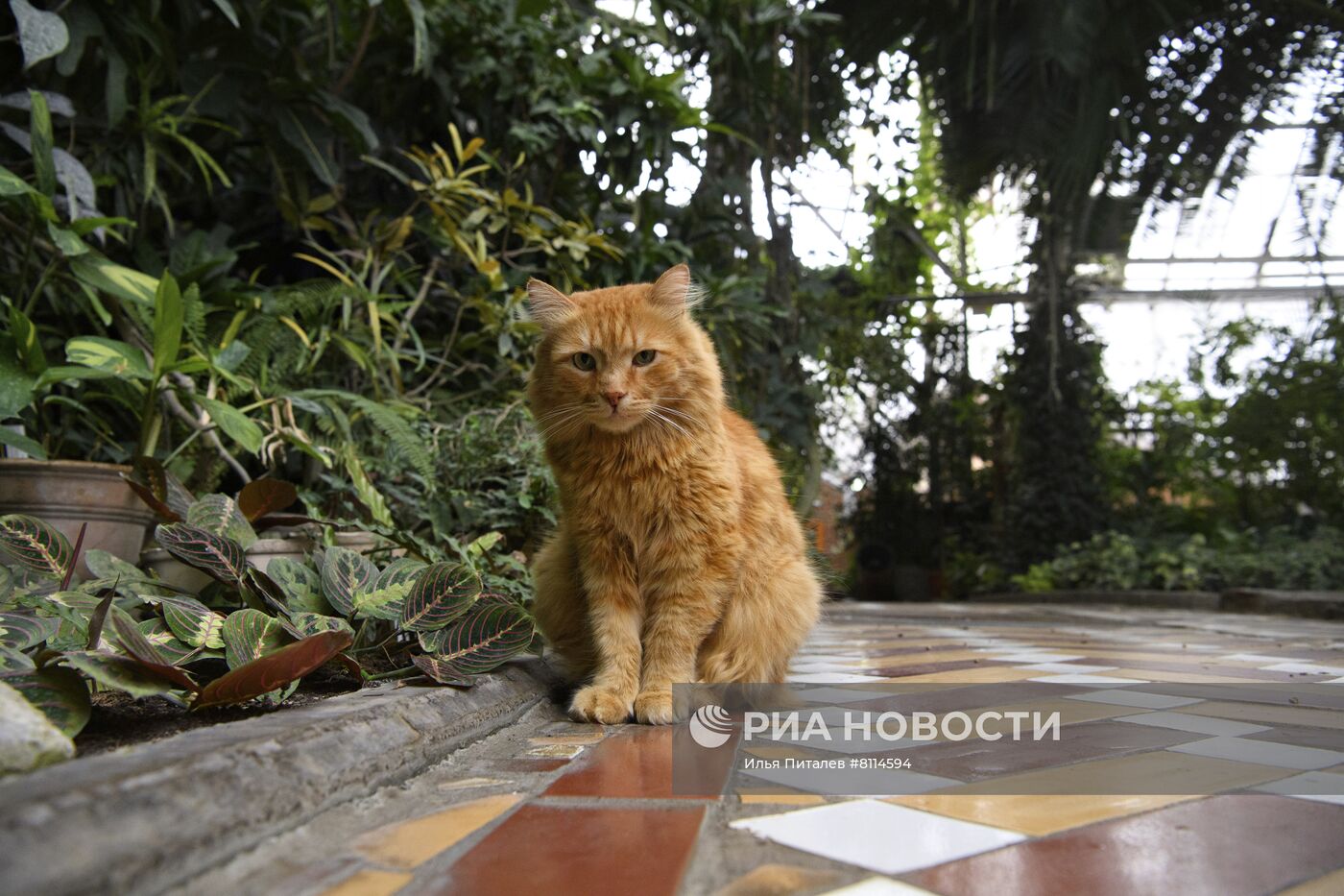 #ОткрываяРоссию.Томск