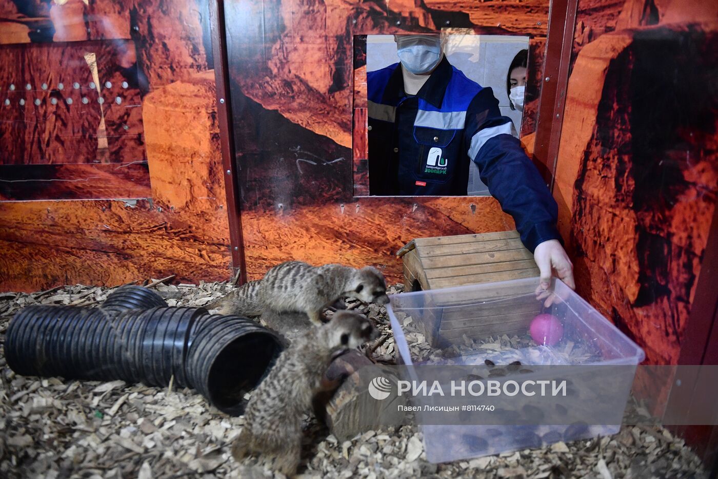 Акция "День пожирателей бывших" в зоопарке Екатеринбурге