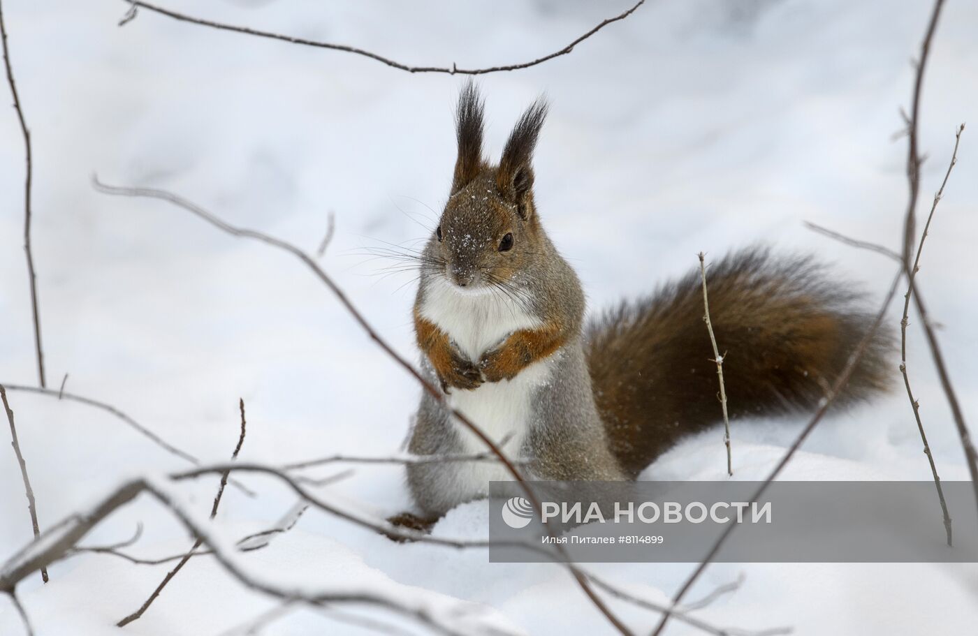 #ОткрываяРоссию.Томск