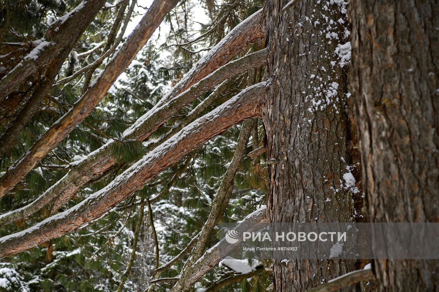 #ОткрываяРоссию.Томск