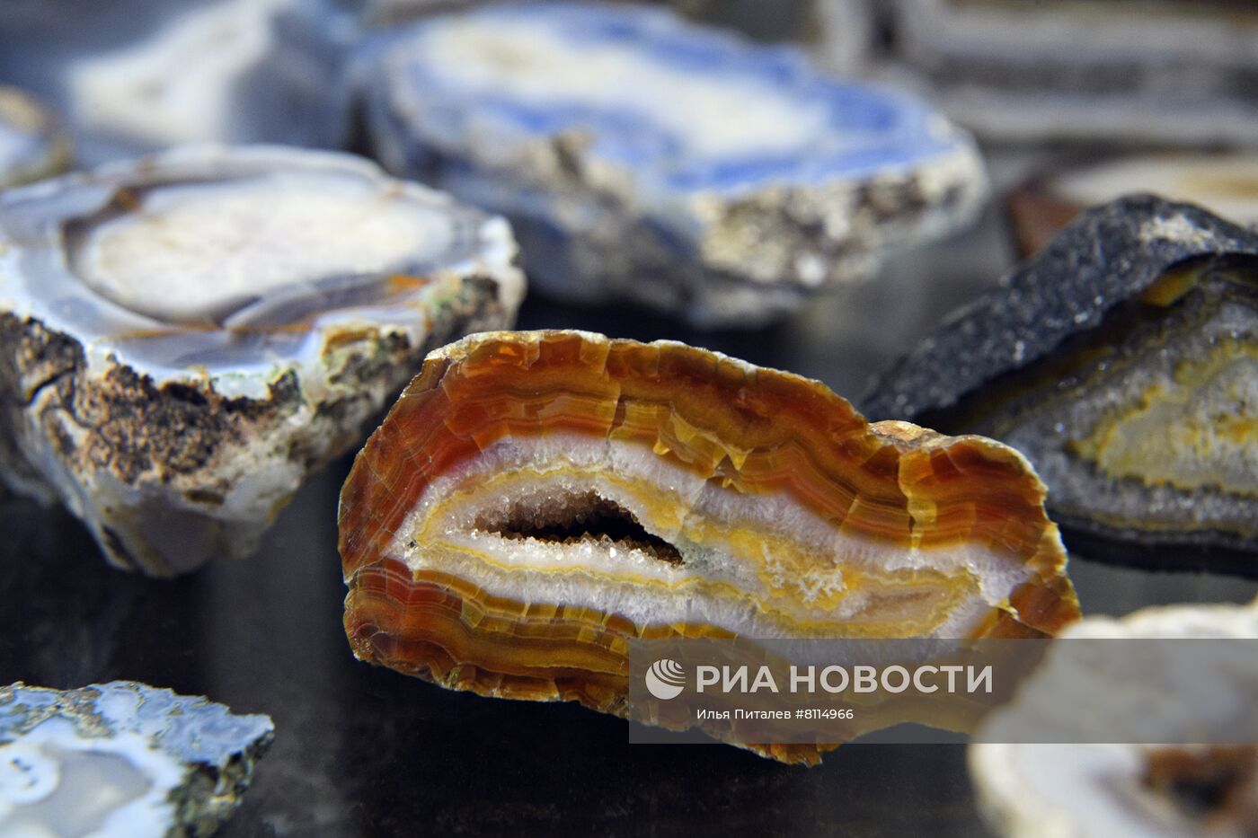 #ОткрываяРоссию.Томск